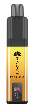 Strawberry Watermelon Pro Max Plus 6K Hayati Disposable Vape Pod Kit